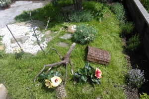 Gehegeimpressionen Astrid K.