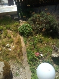 Foto-04
