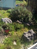 Foto-05